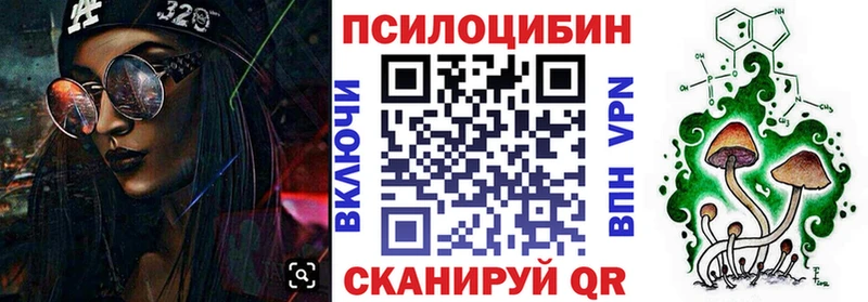Псилоцибиновые грибы Psilocybe  что такое   Жуковка 
